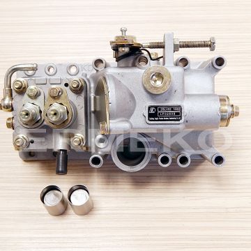 Ansamblu pompa de injectie KIPOR KM2V80 - KM2V8012000A