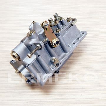 Ansamblu pompa de injectie KIPOR KM2V80