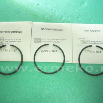 Set segmenti BRIGGS & STRATTON - ER5707142