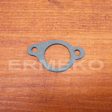 Garnitura carburator - BRIGGS & STRATTON - ER5407311