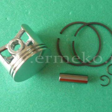 Piston complet - ER304350448