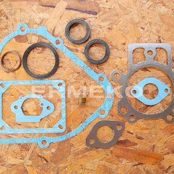 Set garnituri motor BRIGGS & STRATTON 798800 - ER5409761