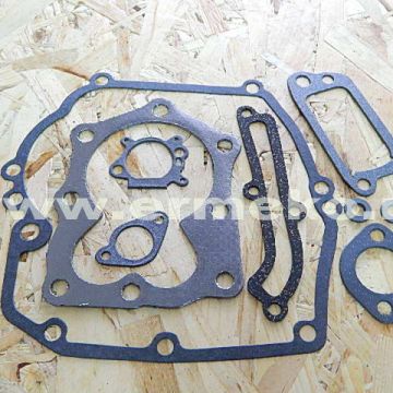 Set garnituri - BRIGGS & STRATTON 497316 - 497316