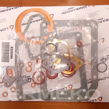 Set garnituri motor LOMBRADINI - 6LD360, 6LD360/C, 6LD360/V, 6LD401/B1 - 8205094