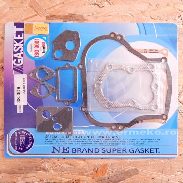 Set garnituri - BRIGGS & STRATTON - ER5407372