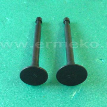 Set supape MTD OHV400, MTD OHV500 - ER751-10313