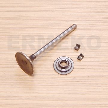 Supapa evacuare motor BRIGGS & STRATTON 792868 (se livreaza doar supapa, fara accesorii) - 792868