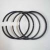 Set segmenti STD LOMBARDINI LDA510, LDA450, 3LD511