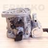 Carburator motor BRIGGS & STRATTON 596079