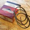 Set segmenti STD BRIGGS & STRATTON