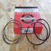 Set segmenti STD motor BRIGGS & STRATTON 590402