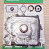 Set garnituri motor BRIGGS & STRATTON 690189