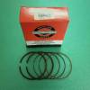 Set segmenti STD BRIGGS & STRATTON