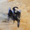 Carburator motor BRIGGS & STRATTON 595509