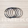 Set segmenti STD - 68.30mm BRIGGS & STRATTON 499425
