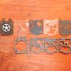 Set membrane WALBRO D22WAT