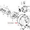 Garnitura motopompa HONDA WB20T DRA, WB20X C, WB20XK1, WB20XT2, WH15XK1, WH20XK1