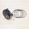 Piston complet STD BRIGGS & STRATTON 595502