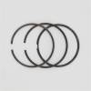 Set segmenti Ø 72mm STD LOMBARDINI LDW 502, LDW 602, LDW 903, LDW 1204 - 8211141