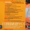 Kit sina + lant 30cm - 3/8"LP - 1.3 - 45E