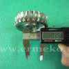 Pinion ( roata melcata )