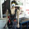 Ham motocoasa