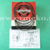 Set segmenti STD motor BRIGGS & STRATTON 795431