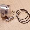 Piston STD complet motor ACME ALN330WB