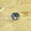 Siguranta, suport arc supapa motor BRIGGS & STRATTON 692194
