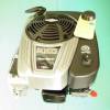 Motor Briggs&Stratton 850 series I/C