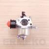 Carburator motor DUCAR DV196, Gatec GT 150 NKS