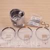 Piston complet STD LOMBARDINI LDA450, 3LD450